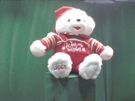 225 Degrees _ Picture 9 _ White Christmas Teddy Bear.png